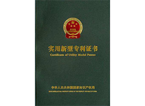 重庆市**科技发展有限公司