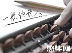 一般纳税人 一般纳税人