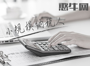小规模纳税 小规模纳税