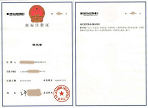 成都**互动网络科技有限公司 成都**互动网络科技有限公司