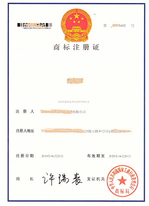 武汉***信息科技有限公司 武汉***信息科技有限公司