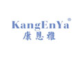 康恩雅KANGENYA