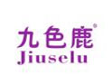 九色鹿JIUSELU