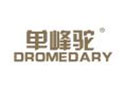 单峰驼DROMEDARY