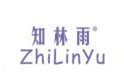 知林雨ZHILINYU